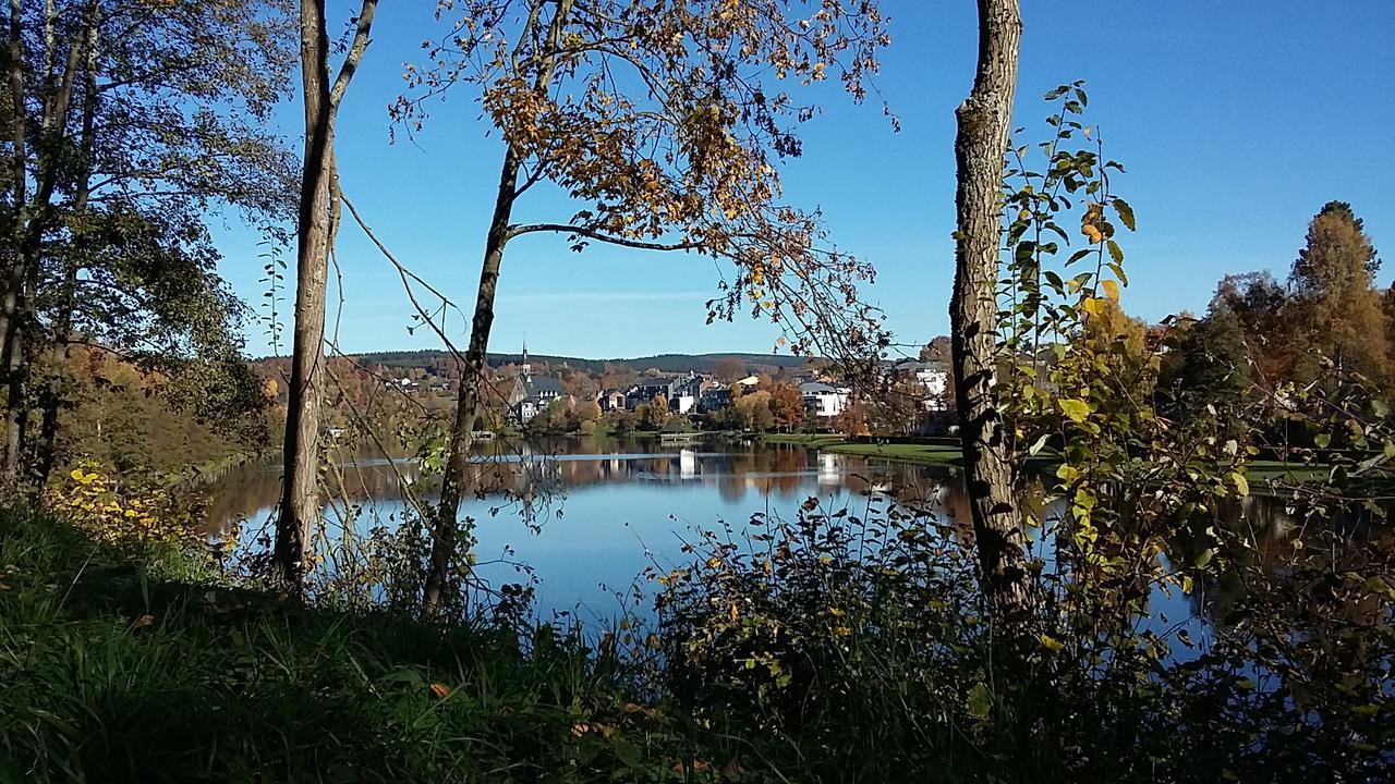 La villa des Savoyards Vielsalm Esterno foto